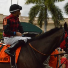Patiently waiting for the races to begin, a jockey atop his horse. Feb. 2015, Gulfstream Racetrack. Photo by: Laura O'Callaghan
