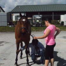 Ricky Griffith (trainer) and Sarah (rider) make sure the horse is in good condition to run a race. Feb. 2015, Gulfstream Racetrack. Photo by: Laura O'Callaghan