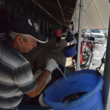 George prepares the feed for the animals to be eaten at the end of the day. Feb. 2015, Gulfstream Racetrack. Photo by: Laura O'Callaghan